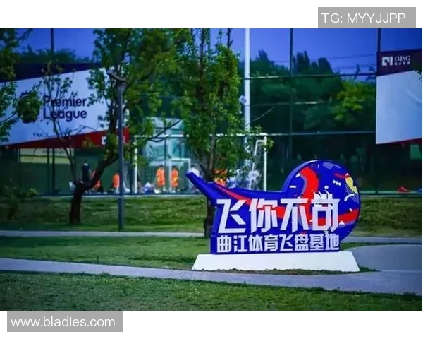 杭州城市马拉松点评：飞盘队状态分析与表现评估