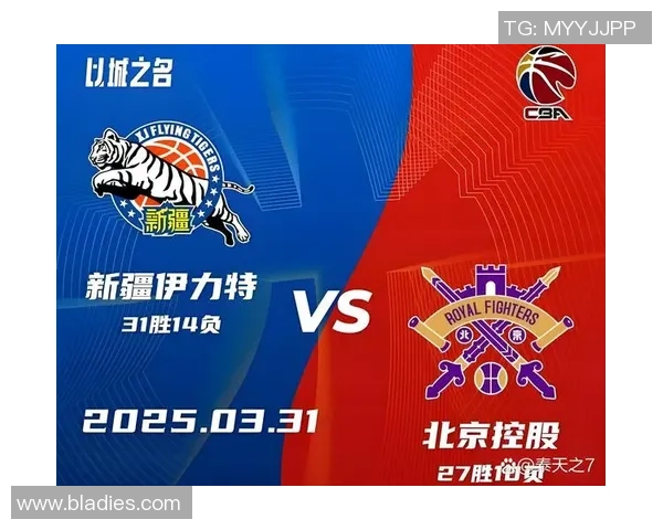 2013年CBA季后赛广东队对阵山东队的精彩对决回顾与分析