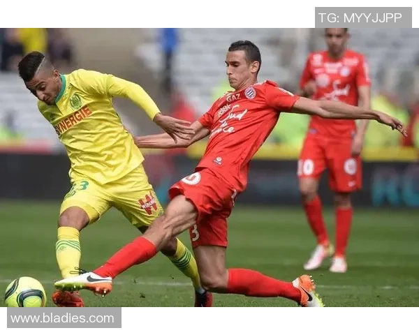 布里斯班与阳光海岸的精彩对决展现澳洲足球的魅力与激情 布里斯班与阳光海岸的精彩对决展现澳洲足球的魅力与激情